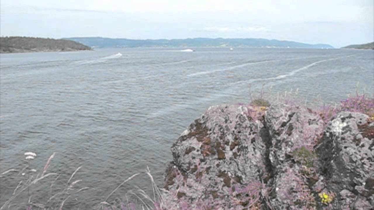 Goldfish Boat break the 100 knots barrier
