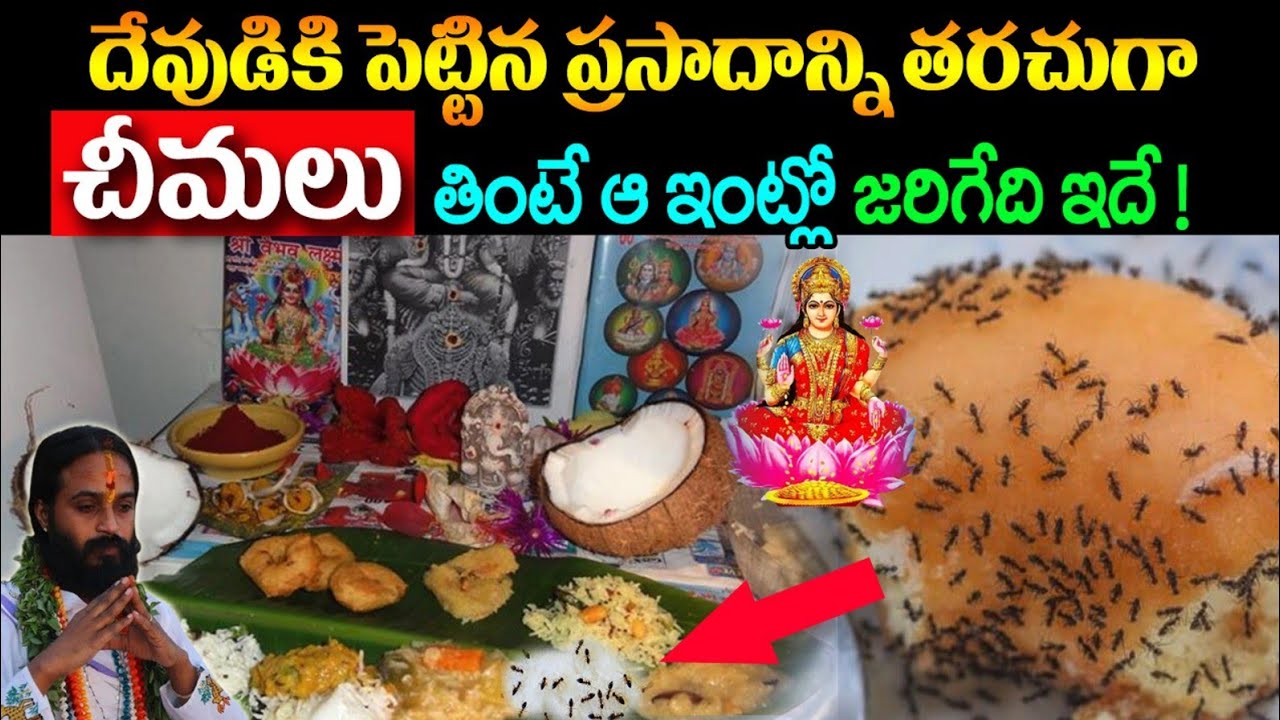 దేవుడికి పెట్టిన ప్రసాదం తరచుగా చీమలు తింటే ఆ ఇంట్లో జరిగేది ఇదే || Dharmasandehalu About Nayvedhyam
