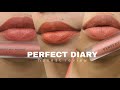 PERFECT DIARY DREAMWORLD LIPSTICK || (MY BRUTALLY HONEST REVIEW)