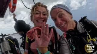 Become a PADI Dive Instructor in Komodo 🇮🇩 | PADI IDC with Dragon Dive Komodo 5★ IDC Center