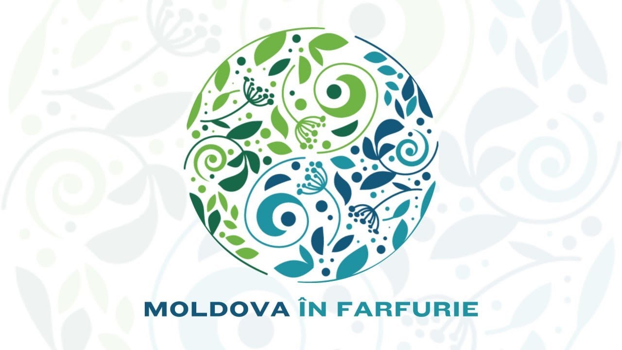 Startup101 - Moldova în Farfurie