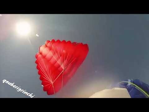 Almost dead სიკვდილს გადარჩენილი ხალხი