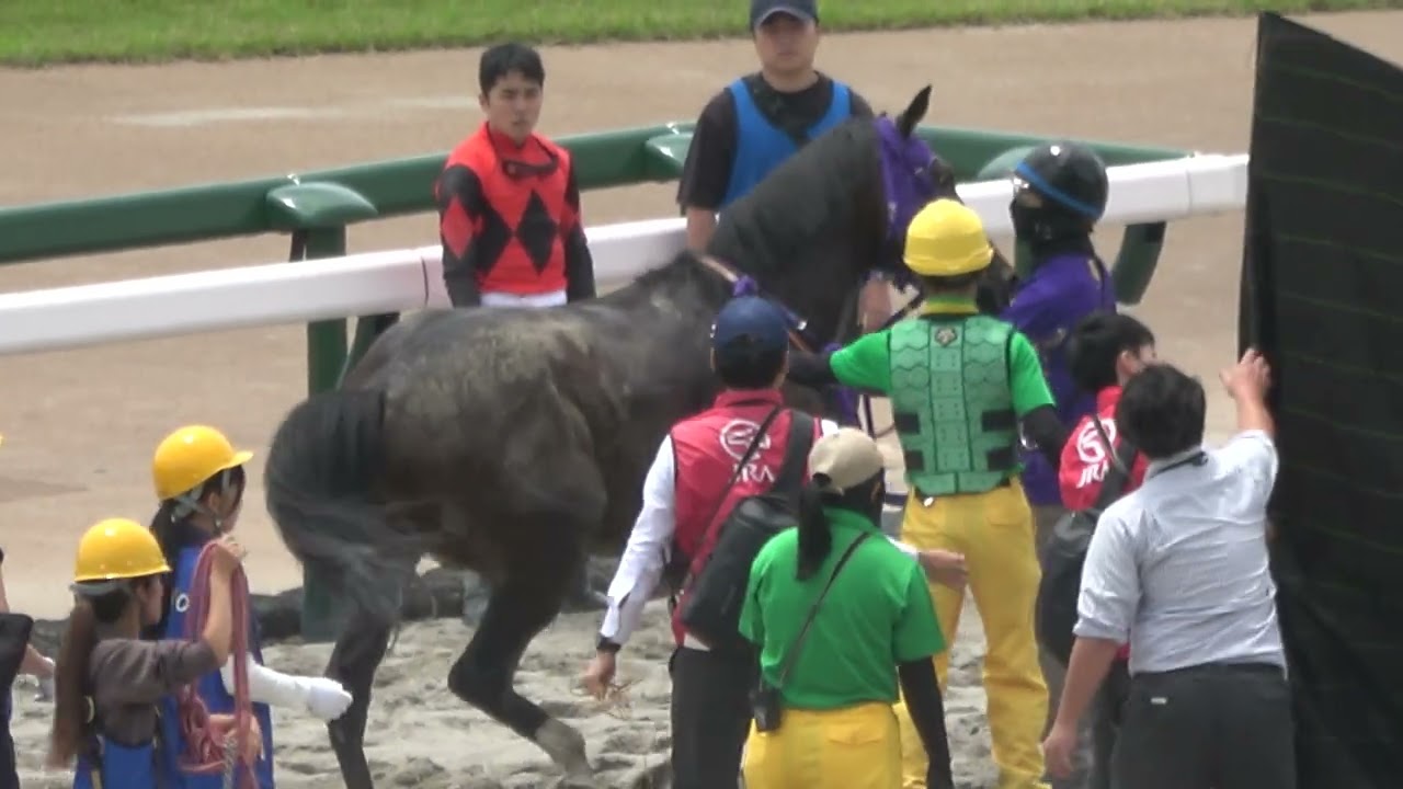 yoshi、他の方はご遠慮下さい競争馬取外し　蹄鉄 Yoshi Wood Tail suffers injury after the finish line; Jockey Naota