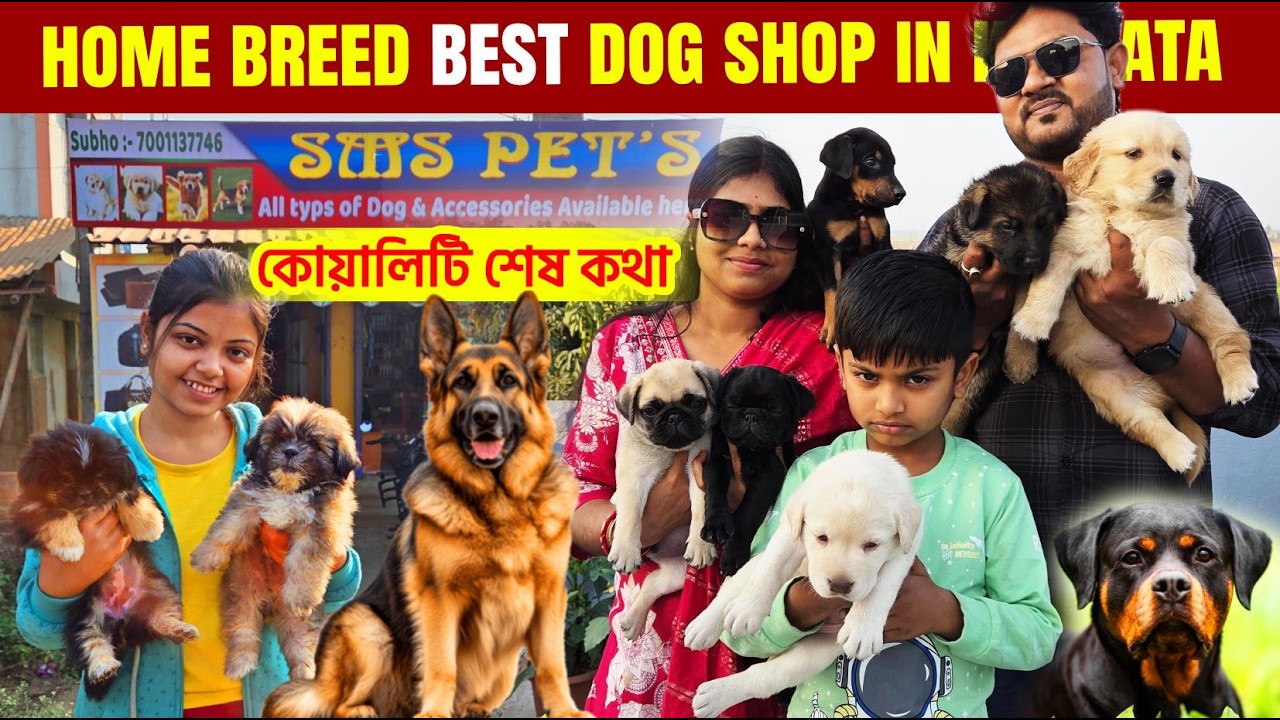 Best Pet shop in Kolkata | dog market in kolkata | pet market | Recent Dog Puppy Price Update | Dogs