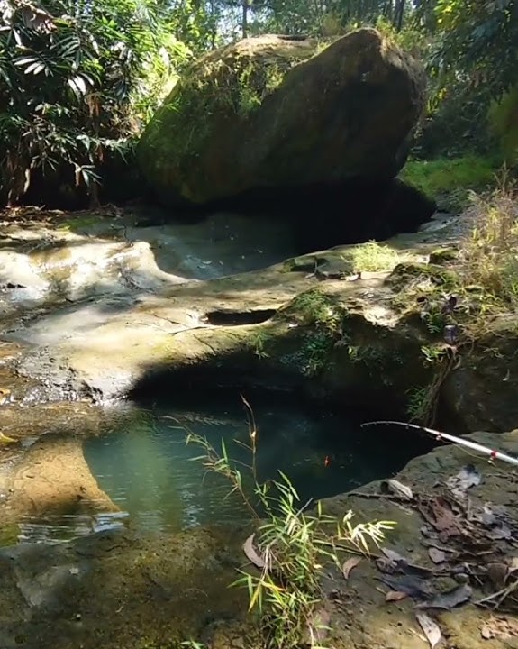 MW Story Mancing ikan wader diSpot bebatuan yang masih alami umpan disambar berkali-kali (3)