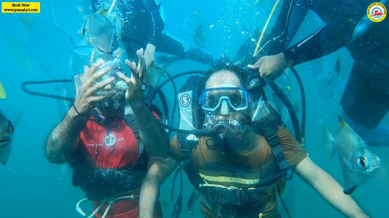 Group Scuba Diving Goa Goa Safari Adventure YouTube