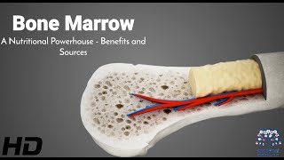 Marrow Magic: Exploring the Surprising Benefits and Rich Sources of Bone Marrow