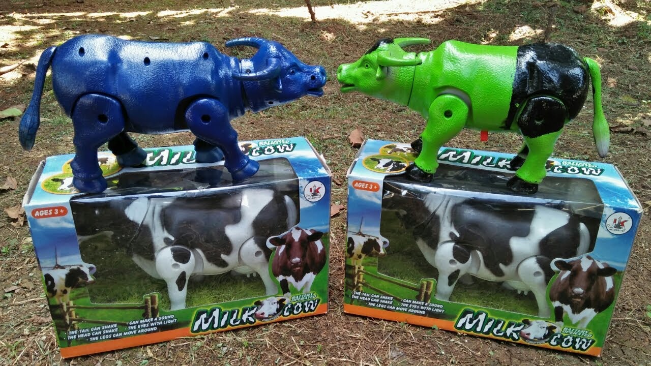 Mencari sapi moo, sapi lucu, sapi warna warni, unboxing video, merakit sapi