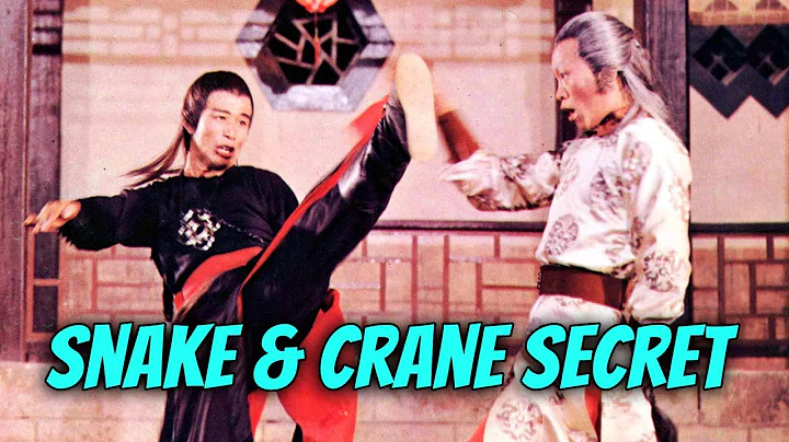 Wu Tang Collection - Snake and Crane Secret (Subti...