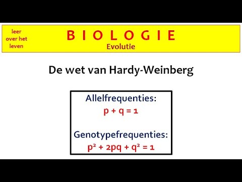 Video: Hoekom is Hardy Weinberg nie realisties nie?