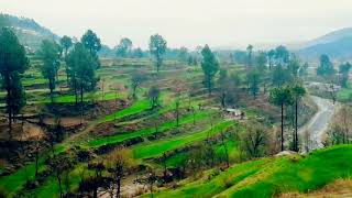 Mansehra Kotlibala Kpk Stan
