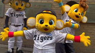 阪神タイガース　非売品　ピンバッジ3種　トラッキー　ラッキー　キー太　コラッキー 阪神タイガース 非売品 ピンバッジ3種 トラッキー ラッキー キー