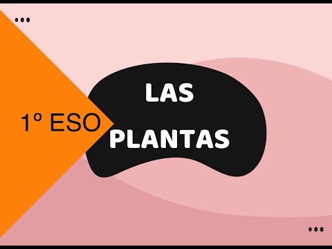 LAS PLANTAS 1º ESO