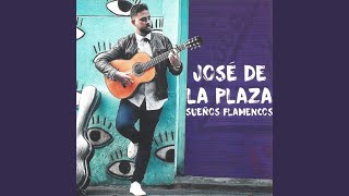 Video thumbnail of "Jose de la Plaza - Caminare Contigo"