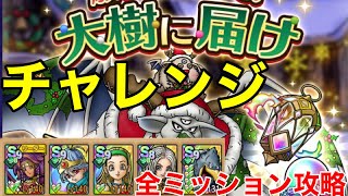 【ドラクエタクト】願いを込めて！大樹に届け チャレンジ 全ミッション攻略
