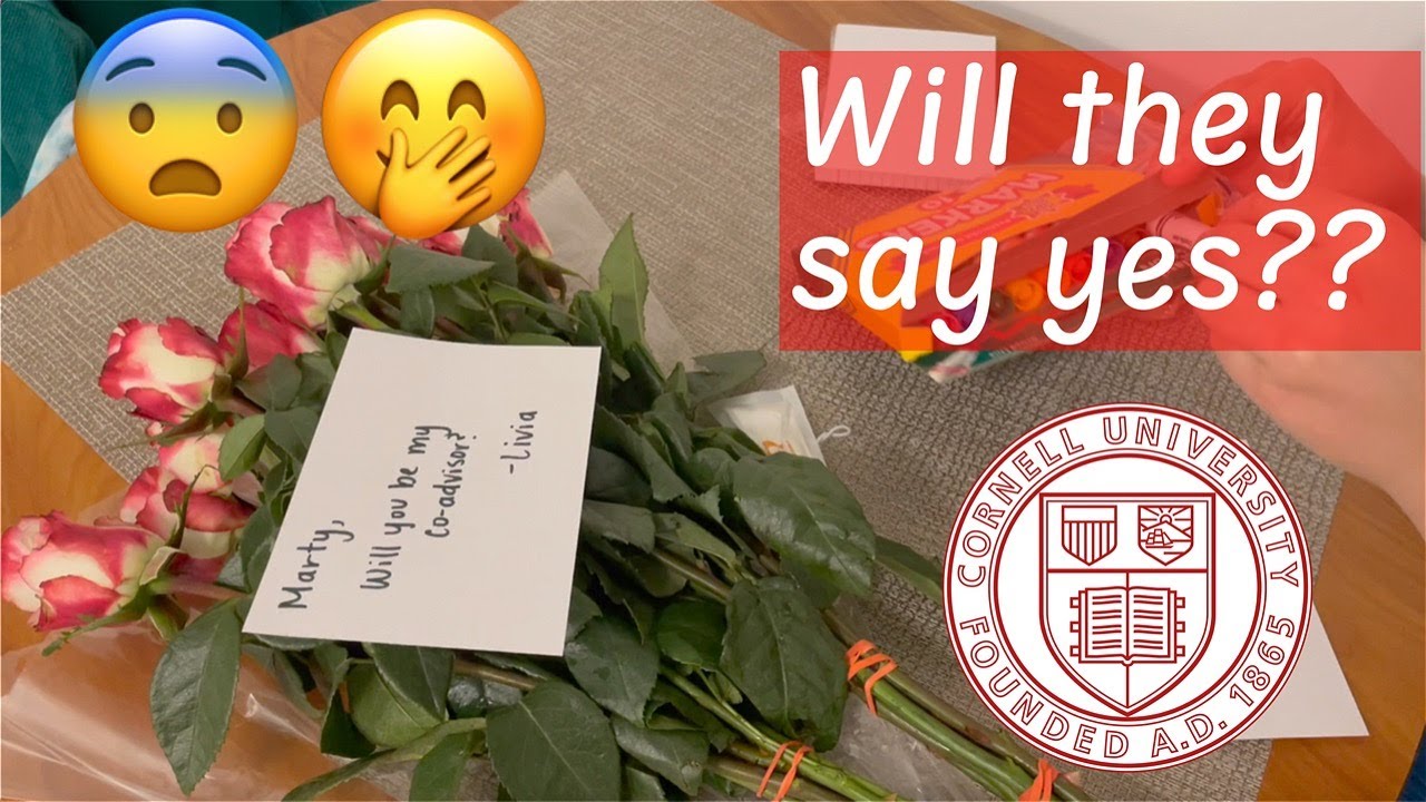 Cornell Statistics Phd Deadline