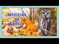 Animal de Poder da Coruja - TUDO Sobre a Medicina e Sabedoria do totem da Coruja