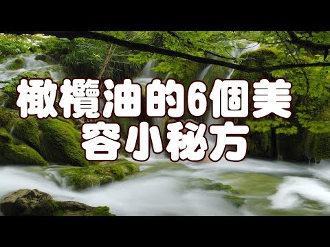 橄欖油的6個美容小秘方