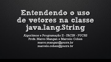 Entendendo o uso de vetores na classe java.lang.String