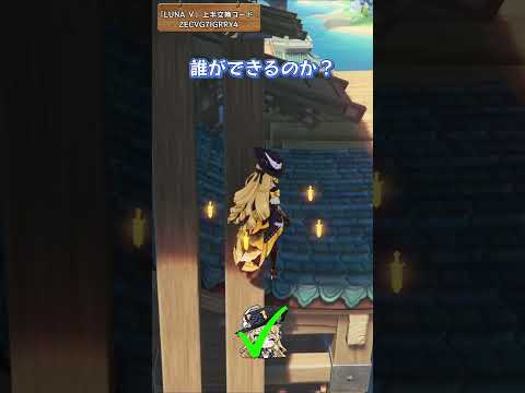 誰ができるのか？「LUNA Ⅴ」上半交換コード：ZECVG7IGRRY4
