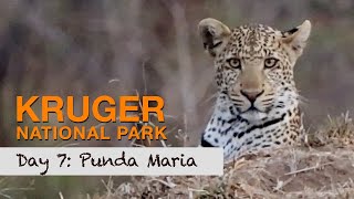 Who says the Northern third of the Kruger National Park has less GAME? | Season 2, Day 7