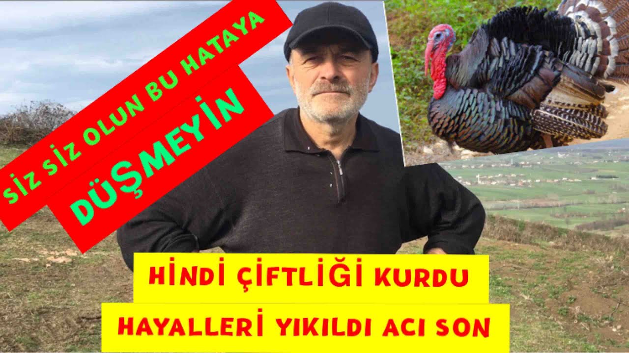 Органическая индейка в Турции