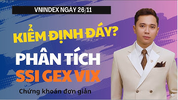 Cổ phiếu kiểm định đáy - Phân tích: SSI VIX GEX