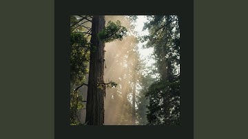 Doctors Hate This One Simple Trick