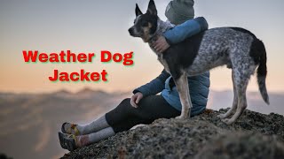 Dog Vest Winter Coat Warm Dog Apparel Cold Weather Dog Jacket