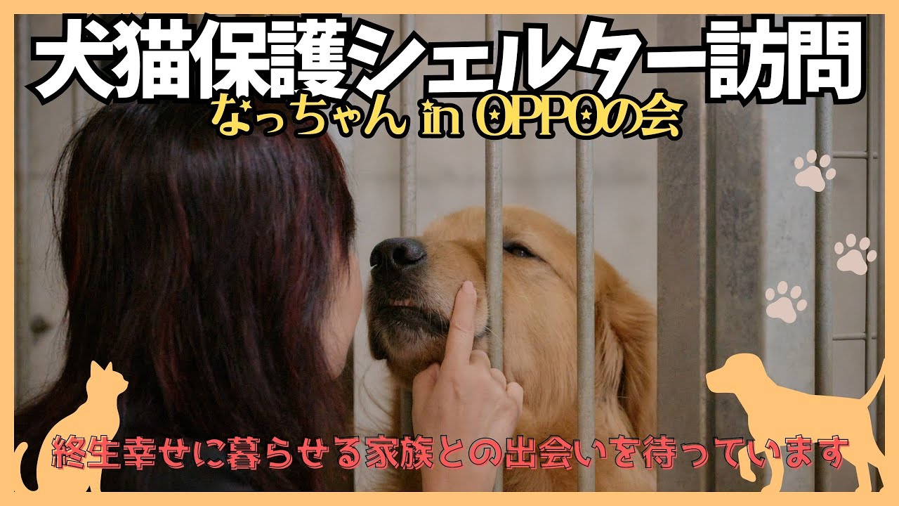 【犬猫保護シェルター訪問】人もペットも幸せになるために・・・