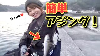 【アジング】堤防から簡単にアジが釣れるよ【エサ無し】