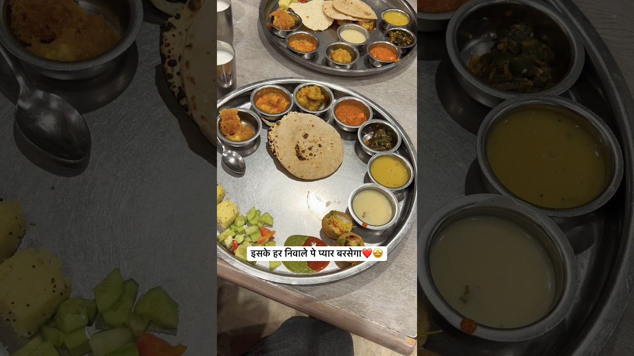 Tried Best Thali Of Udaipur | Natraj Thali 