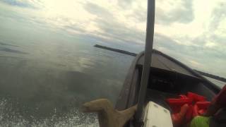 Cahuita Np Costa Rica Boat Ride To Reef