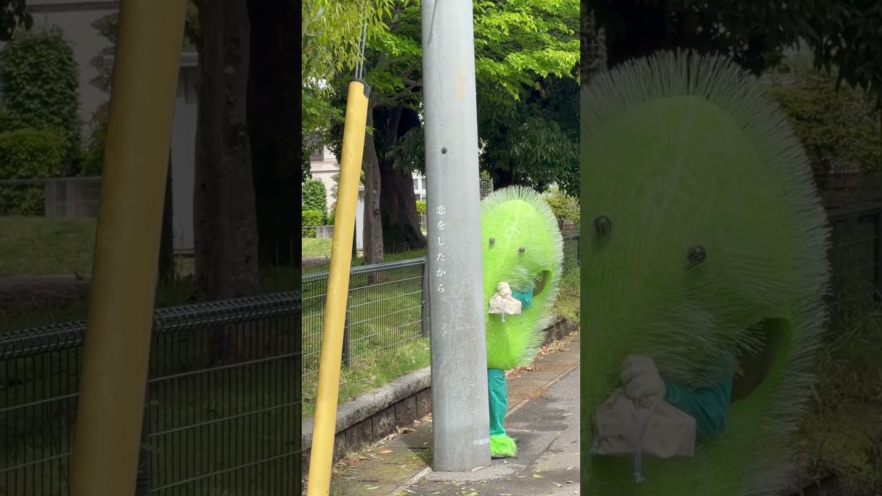 7co「猫じゃらし」
