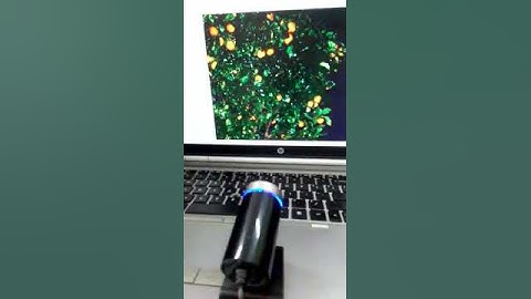 On Tree Fruit Counting using Image Processing