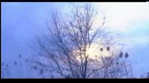 神雕侠侣主题曲《天下无双》MV - 天天要闻