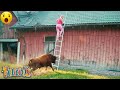 TOTAL IDIOTS AT WORK #9 | Instant Regret Fails Compilation 2025 | Best of the Week