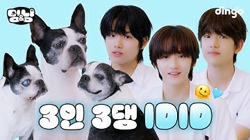 메가루키 댕댕그룹 IDID 데뷔! 진짜 댕댕이는 누구? | [멍&냥] IDID 정세민, 김민재, 장용훈