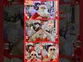 2 Santas, 2 Little Elves! | Santa’s Funny Santa’s Fun (Ukulele, Harmonica &amp; Magic Xylophone!) 🎅🎄✨