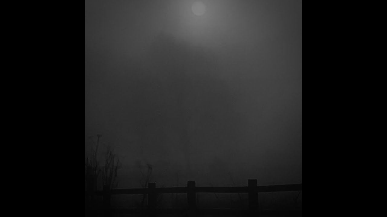 to remember a long forgotten childhood dream.