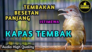 Download Lagu BESETAN TEMBAKAN KAPAS TEMBAK GACOR PANJANG COCOK BUAT MASTERAN SEGALA JENIS BURUNG LOMBA MP3