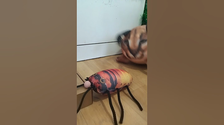 сломали жизнь таракана #сделказагаражами #муравей #сделка  #блоптоп #юмор #tiktok #мем