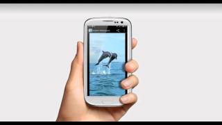 Dolphin Wallpapers App Android screenshot 1