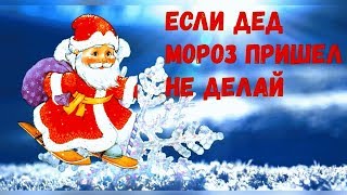 Если Дед Мороз пришел не делай так❄️Новогодние игры для детей❄️