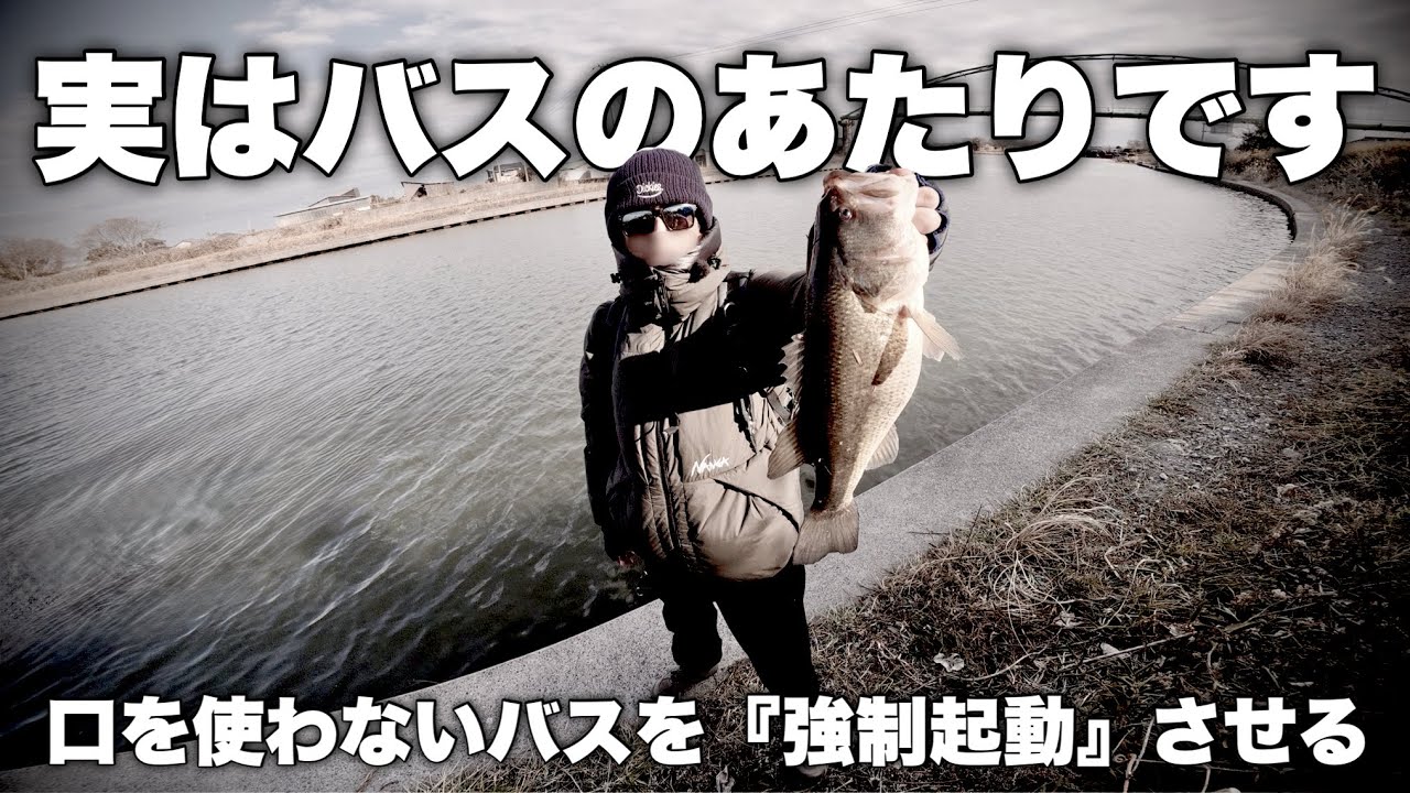○○みたいな違和感 それバスです　やり方を間違えると一生釣れません