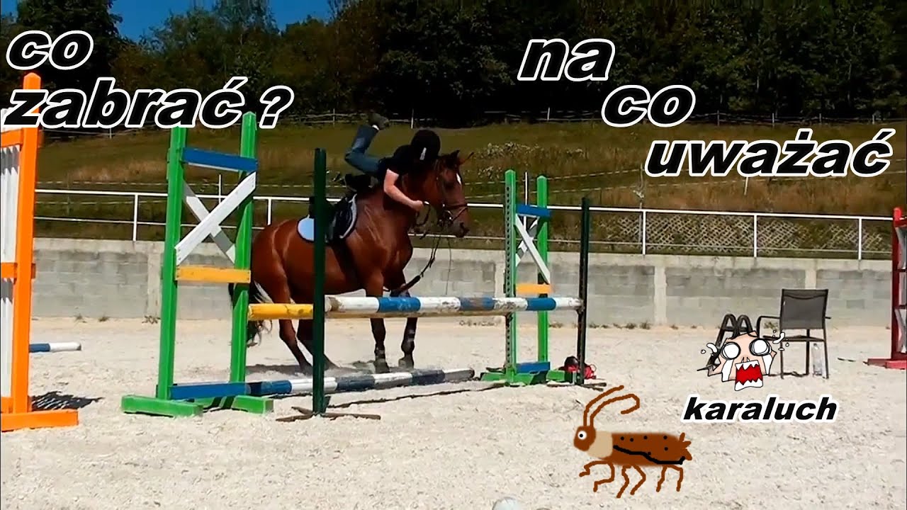 Najgorszy obóz jeździecki - Karaluchy! Wykorzystywanie!