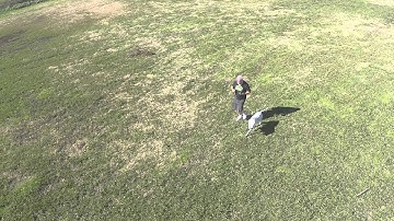 Hexo+ First flight test with Camera