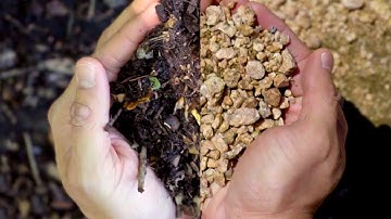 Our Commitment to Protecting the Environment