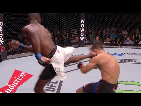 Видео: Лучшие нокауты ударом с разворота в истории UFC