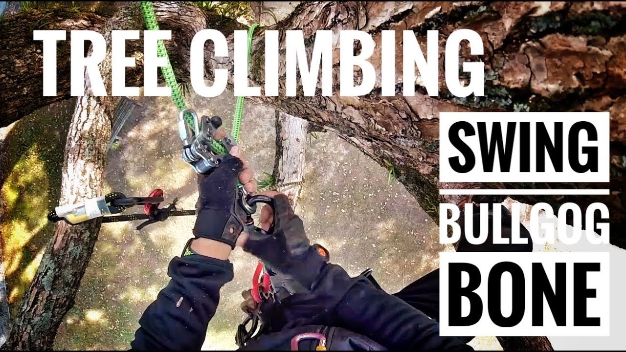 Happy Tree Climbing / Swing / Bulldogbone / Gopro / - YouTube